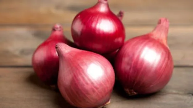 Benefits of Onion: వామ్మో.. ఉల్లిపాయ ఇన్ని సమస్యలను దూరం చేస్తుందా..