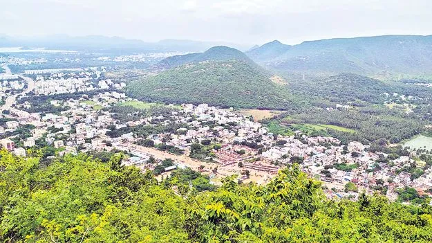 అప్పన్న భూములకు రెక్కలు