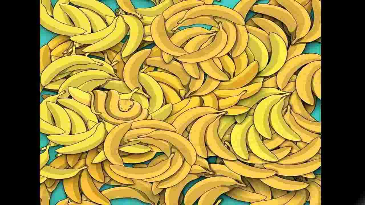 Optical Illusion Test: ఈ అరటిపళ్ల మధ్యలో పాము ఎక్కడుంది.. 6 సెకెన్లలో కనిపెట్టండి..