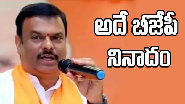 P.V.N.Madhav: బీజేపీకి ఒక మతాన్ని అంటకట్టడం కరెక్ట్ కాదు: పి.వి.ఎన్.మాధవ్