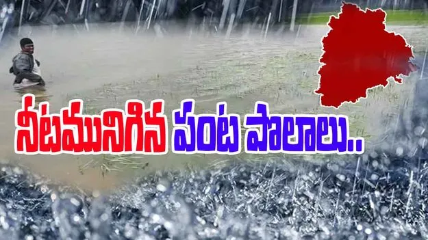 Telangana Rains: తెలంగాణలో భారీ వర్షాలు.. నీటమునిగిన పంట పొలాలు