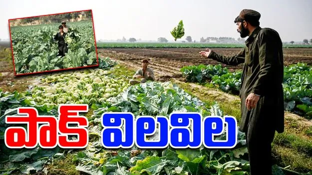 Indus Waters Treaty:  భారత్ అలా చేస్తే పాకిస్తాన్‌‌లో వినాశనమే.. 