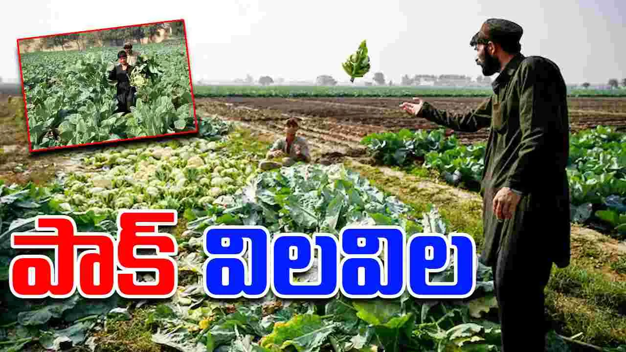 Indus Waters Treaty:  భారత్ అలా చేస్తే పాకిస్తాన్‌‌లో వినాశనమే.. 