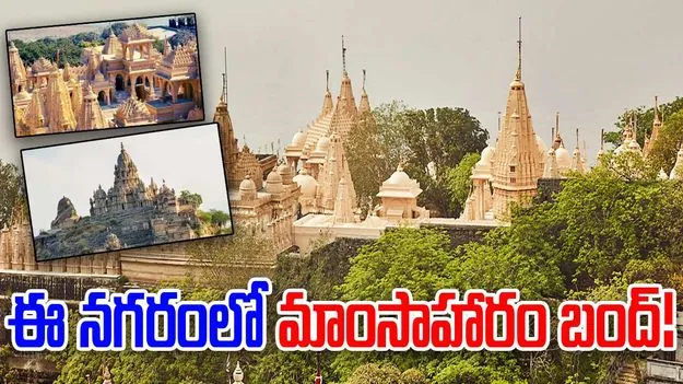  Non Veg Banned: ప్రపంచంలో మాంసాహారాన్ని బ్యాన్‌ చేసిన ఏకైక నగరం ఇదే.. ఎక్కడ ఉందంటే?