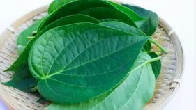 Pan Leaf Benefits: ఈ 7 మందికి తమలపాకులు ఒక వరం.. 