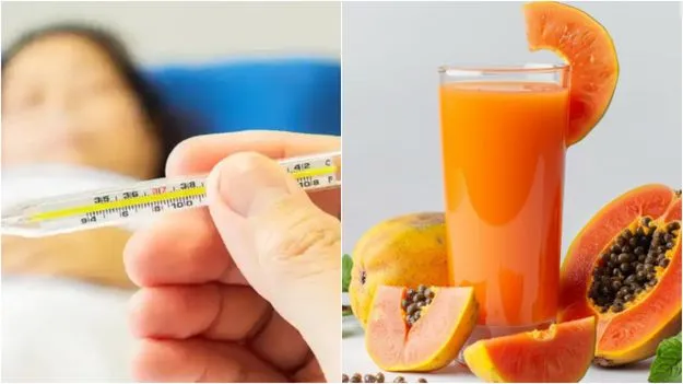 Dengue Diet Plan: డెంగ్యూతో బాధపడుతున్నారా? ఈ డైట్ ప్లాన్ మీ కోసం.!