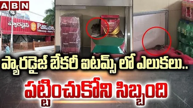 Paradise Tea Point Bakery: ప్యారడైజ్ బేకరీలో ఎలుక స్వైర విహారం.. ఫుడ్ సేఫ్టీ అధికారులకు కస్టమర్లు ఫిర్యాదు 