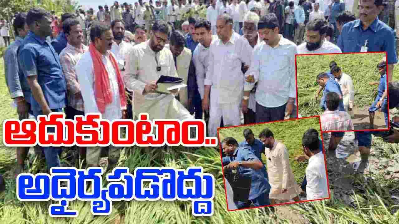Pawan Visits Cyclone Affected Areas: రైతన్నలకు డిప్యూటీ సీఎం పవన్ భరోసా