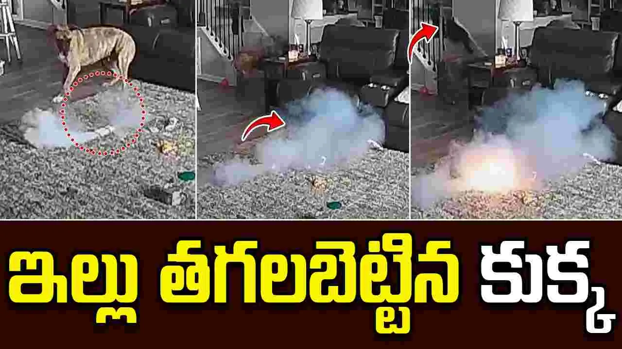 Pet Dog Causes House Fire: కుక్క ఎంత పని చేసింది.. ఇల్లు తగలబడి పోయింది.. 