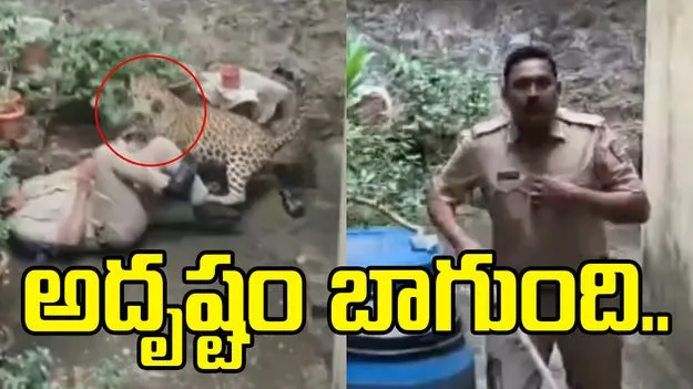 Leopard Attack On Police: పోలీస్ అధికారిపై దాడి చేసిన చిరుత.. అదృష్టం బాగుండి...