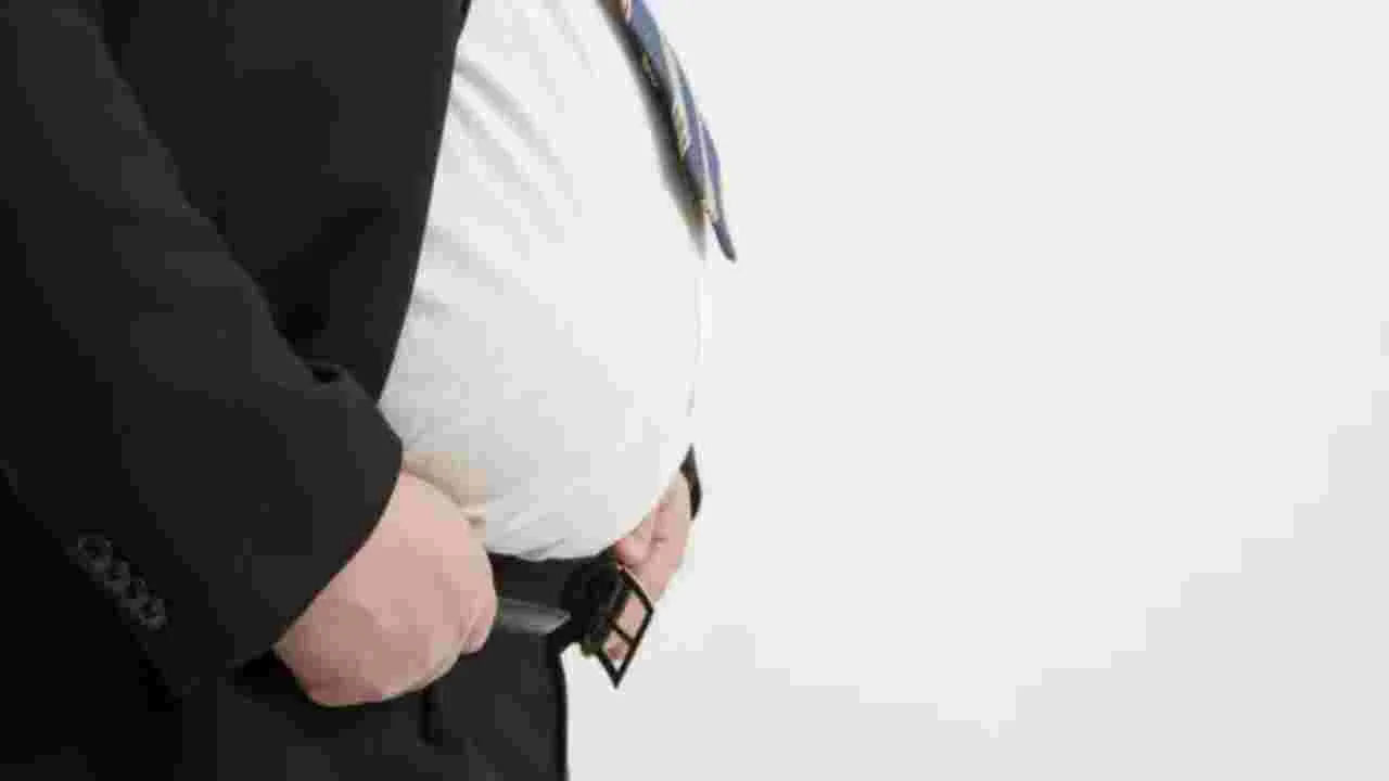 Pot Belly in Indians: భారతీయుల్లో ఎక్కువగా కనిపించే బానపొట్ట! కారణం ఇదేనా.. 