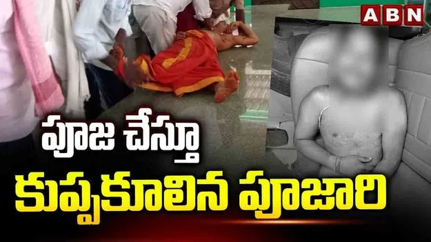 Priest Collapses in Temple: దసరా వేళ విషాదం.. పూజ చేస్తూ కుప్పకూలిన పూజారి..