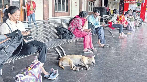 వీధికుక్కలపై మల్లగుల్లాలు!