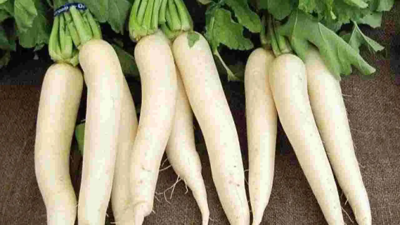 Radish in Winter: శీతాకాలంలో ముల్లంగి వల్ల కలిగే ప్రయోజనాలు తెలుసా?