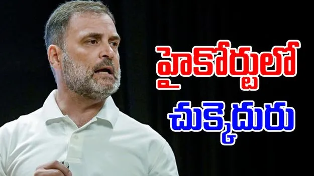 Rahul Gandhi: సిక్కుల మనుగడపై వ్యాఖ్యలు.. రాహుల్‌గాంధీకి హైకోర్టులో చుక్కెదురు