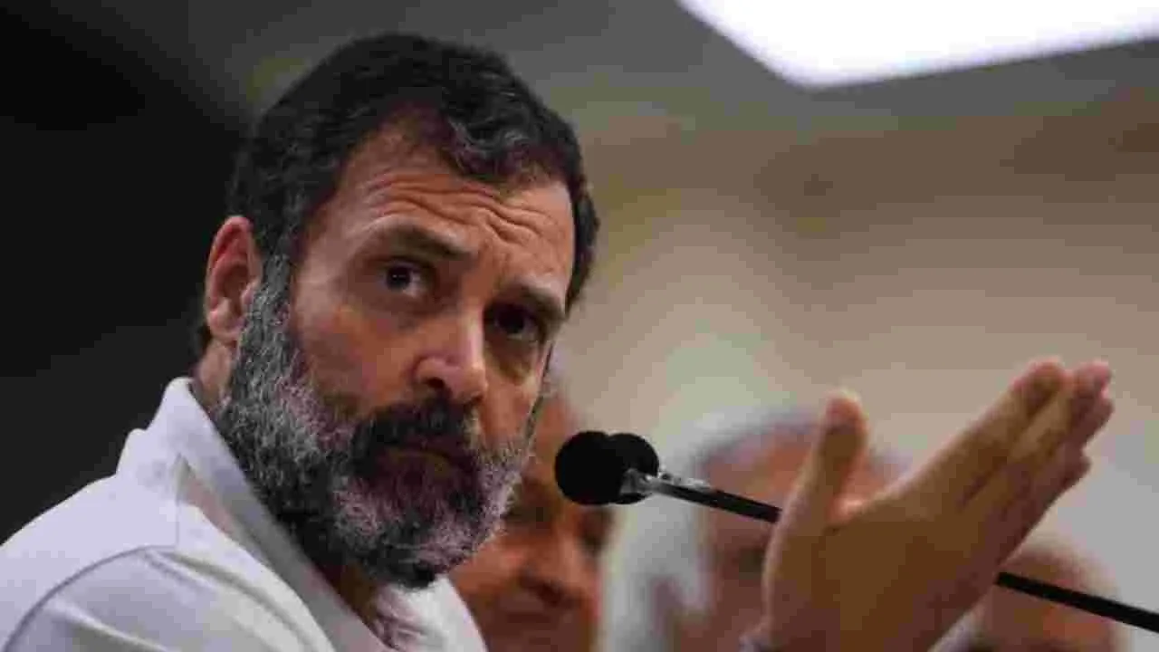 Rahul Gandhi: భారత్‌లో ప్రజాస్వామ్యంపై హోల్‌సేల్ దాడి: రాహుల్ గాంధీ