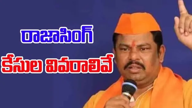 Raja Sing: డీజీపీకి రాజాసింగ్ లేఖ.. కేసులు ఎలా పెడతారని ప్రశ్న? 