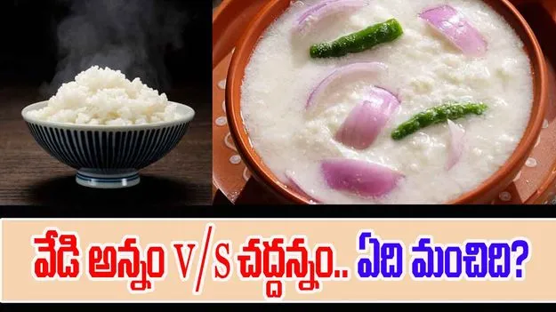 Fermented Rice Benefits: వేడి అన్నం కన్నా చద్దన్నంలో ఎక్కువ ప్రయోజనాలు ఉన్నాయా? 