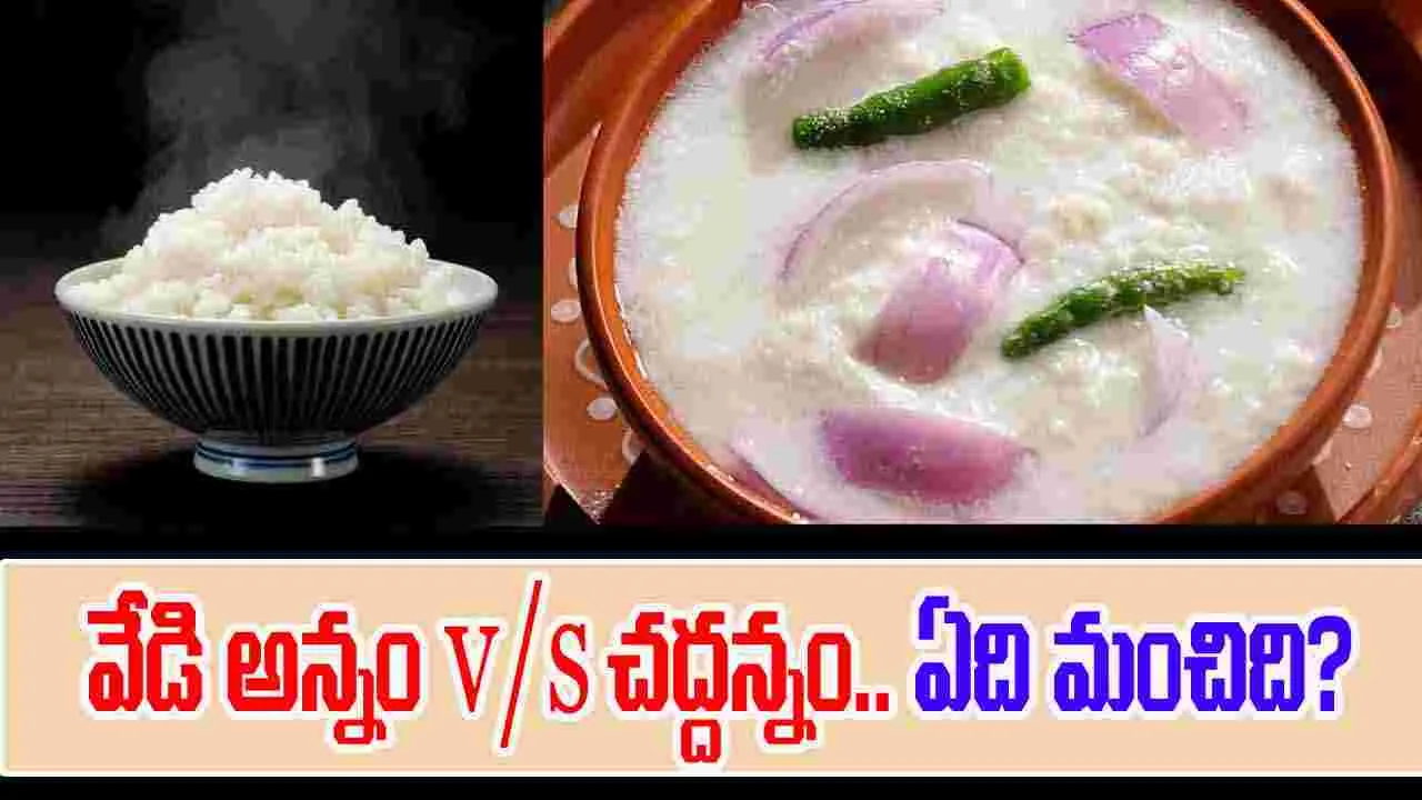 Fermented Rice Benefits: వేడి అన్నం కన్నా చద్దన్నంలో ఎక్కువ ప్రయోజనాలు ఉన్నాయా? 