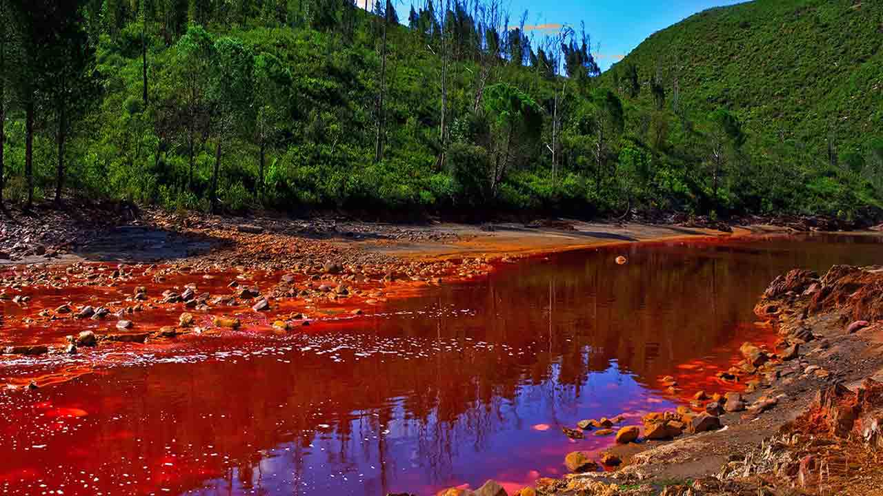 Dangerous Rivers: ప్రపంచంలోనే అత్యంత ప్రమాదకరమైన 5 నదులివే.. 