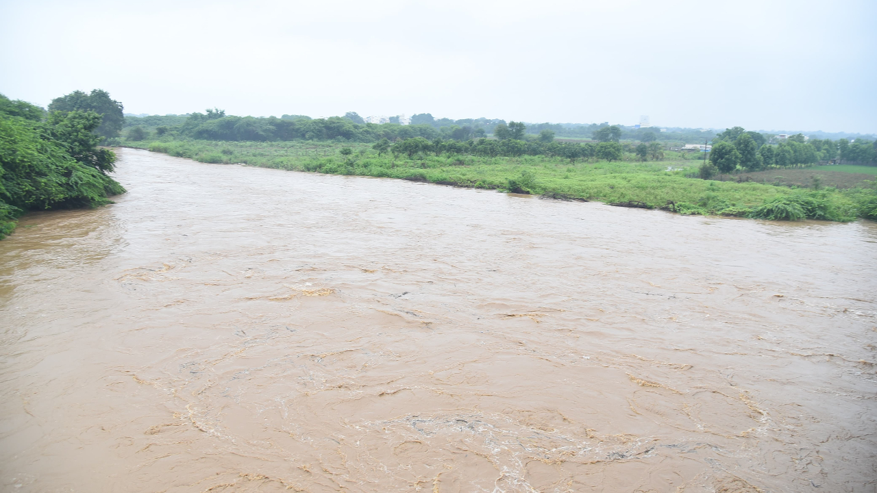 Vikarabad: ఉదృతంగా ప్రవహిస్తున్న శివరెడ్డి పేట్ చెరువు