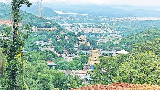 ప్రతామ్నాయం... దైవాధీనం!