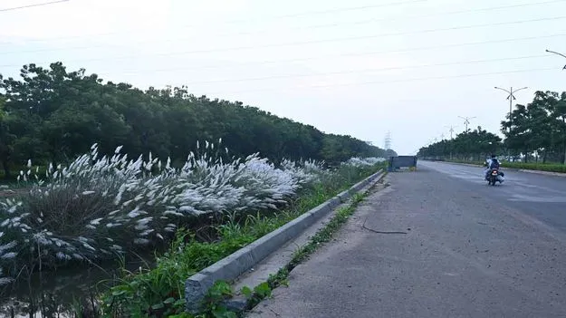 ‘సీడ్‌..’ స్పీడ్‌గా..