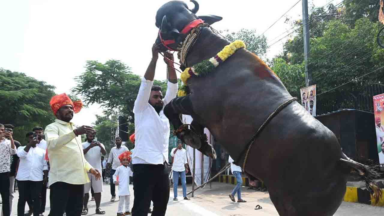 Sadar Sammelanam: ఎన్టీఆర్ స్టేడియం వద్ద సదర్ సమ్మేళనం.. ప్రారంభించిన సీఎం రేవంత్