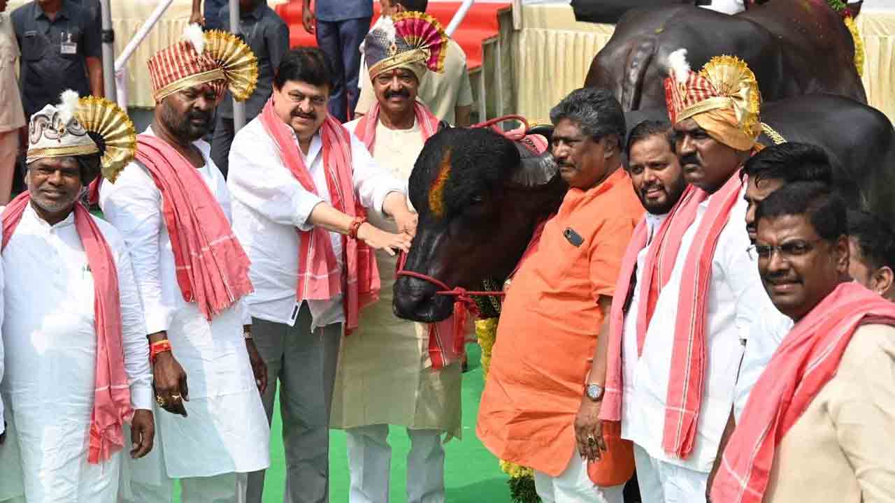 Sadar Sammelanam: ఎన్టీఆర్ స్టేడియం వద్ద సదర్ సమ్మేళనం.. ప్రారంభించిన సీఎం రేవంత్