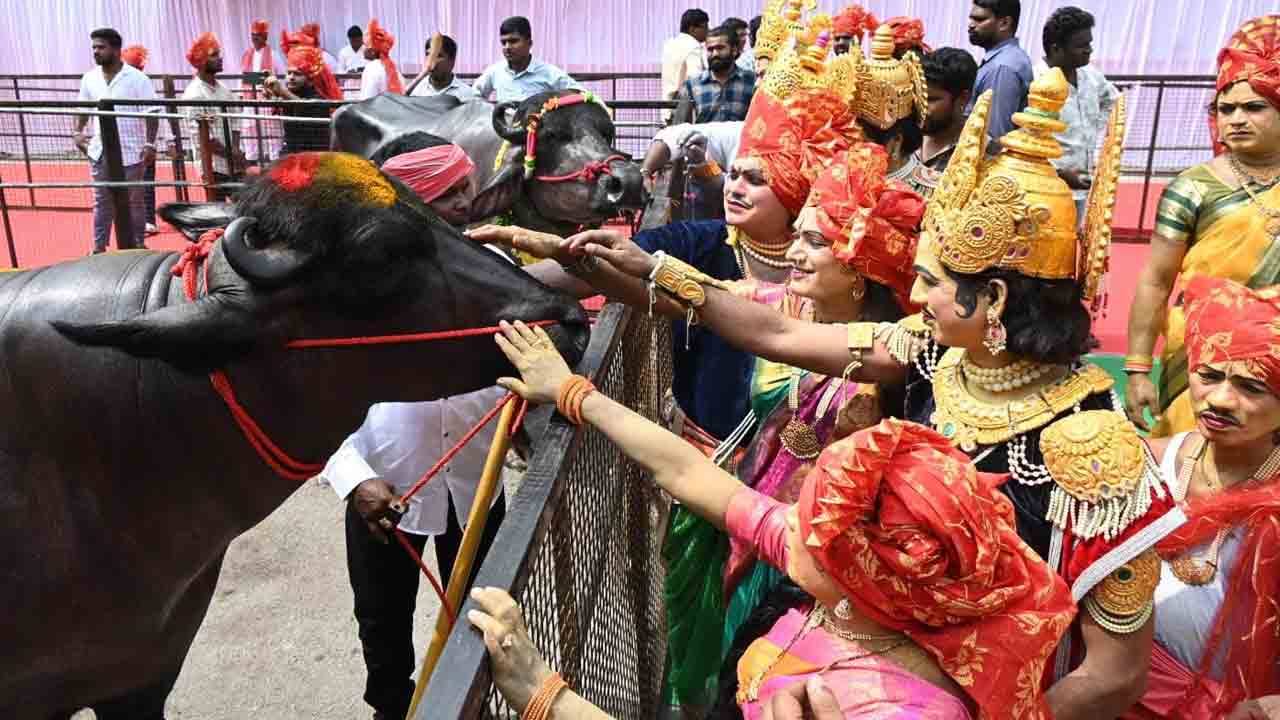 Sadar Sammelanam: ఎన్టీఆర్ స్టేడియం వద్ద సదర్ సమ్మేళనం.. ప్రారంభించిన సీఎం రేవంత్