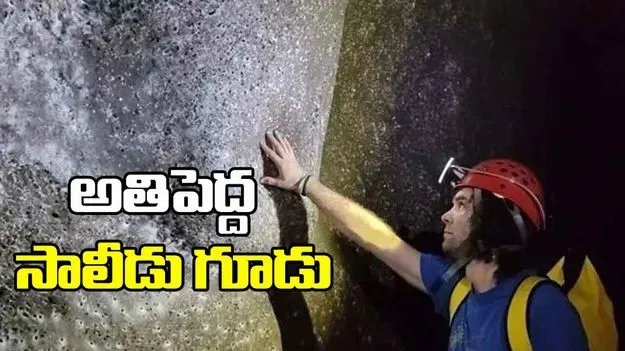 The world's largest spider's nest: ప్రపంచంలోనే అతిపెద్ద సాలీడు గూడును కనుగొన్న పరిశోధకులు
