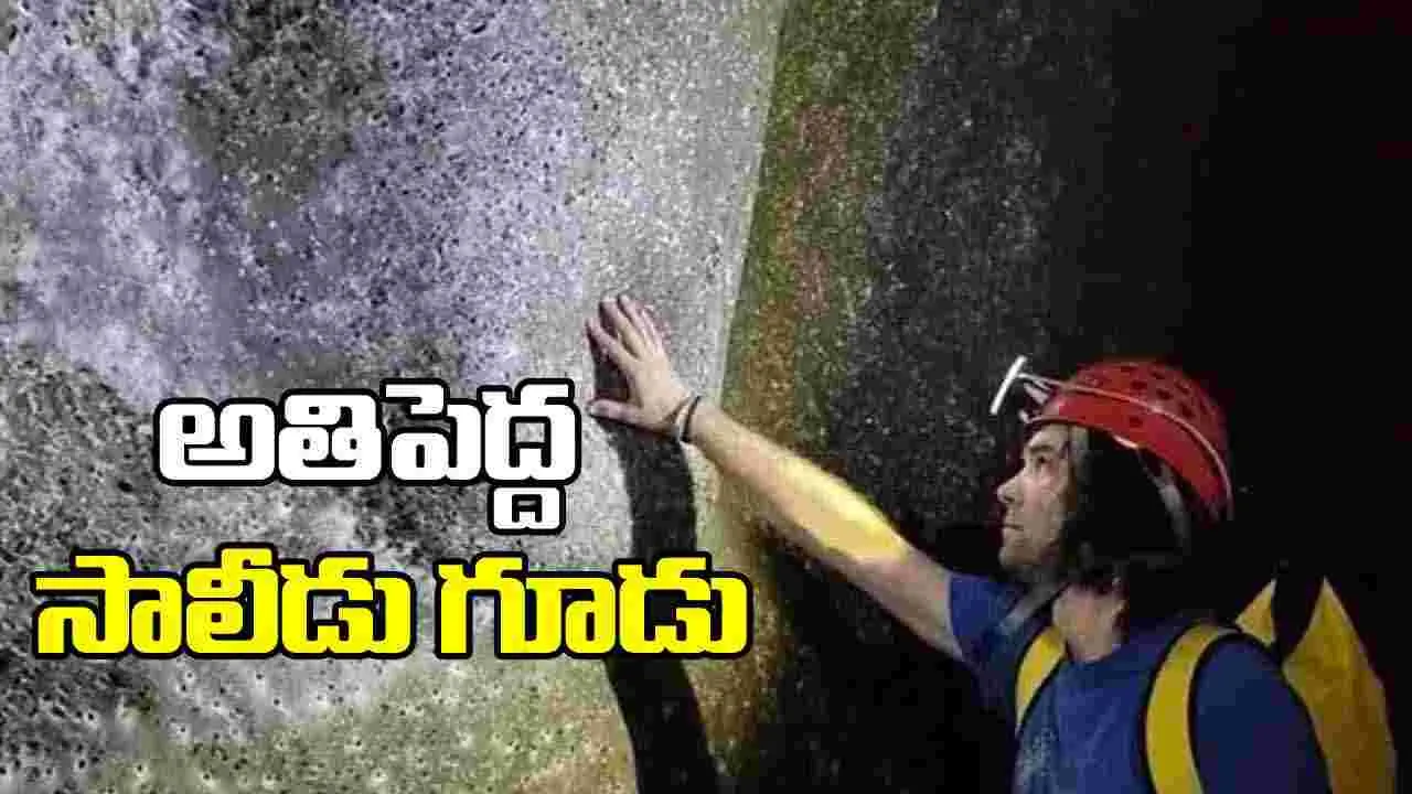 The world's largest spider's nest: ప్రపంచంలోనే అతిపెద్ద సాలీడు గూడును కనుగొన్న పరిశోధకులు