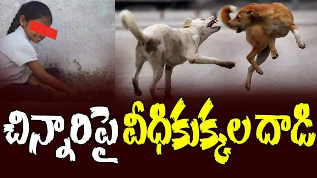 Dogs attack on Child: చిన్నారిపై కుక్కల దాడి.. సీసీటీవీలో రికార్డ్  