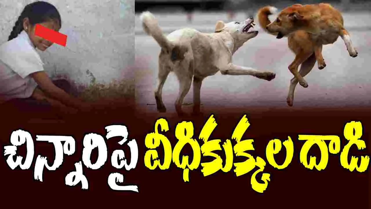 Dogs attack on Child: చిన్నారిపై కుక్కల దాడి.. సీసీటీవీలో రికార్డ్  