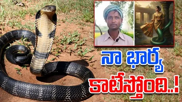 Wife Bites as Snake: ‘నా భార్య పాములా మారి కాటేస్తోంది’.. భర్త వింత వాదన..