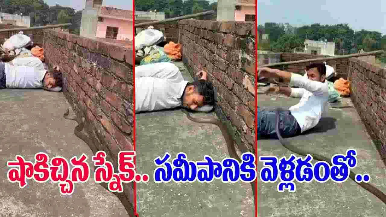 Snake Shocking Video: నిద్రపోతున్న వ్యక్తి.. సడన్‌గా దూసుకొచ్చిన పాము.. చివరికి చూస్తే.. 