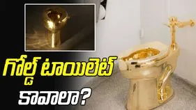 Solid Gold Toilet: గోల్డ్ టాయిలెట్‌లో కూర్చుని.. వెళ్లి.. ఆస్వాదించాలనుందా..!