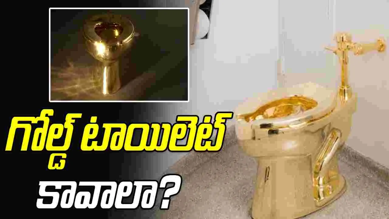 Solid Gold Toilet: గోల్డ్ టాయిలెట్‌లో కూర్చుని.. వెళ్లి.. ఆస్వాదించాలనుందా..!