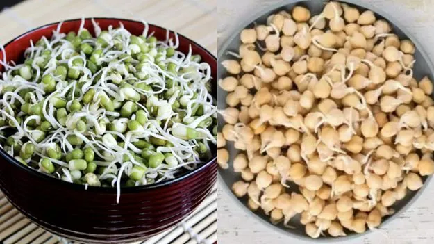 Sprouted Chickpeas Benefits: మొలకెత్తిన శనగపప్పు Vs మొలకెత్తిన పెసలు.. దేనిలో ఎక్కువ పోషకాలు ఉంటాయి?