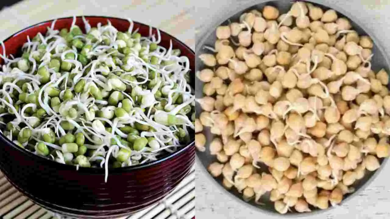 Sprouted Chickpeas Benefits: మొలకెత్తిన శనగపప్పు Vs మొలకెత్తిన పెసలు.. దేనిలో ఎక్కువ పోషకాలు ఉంటాయి?