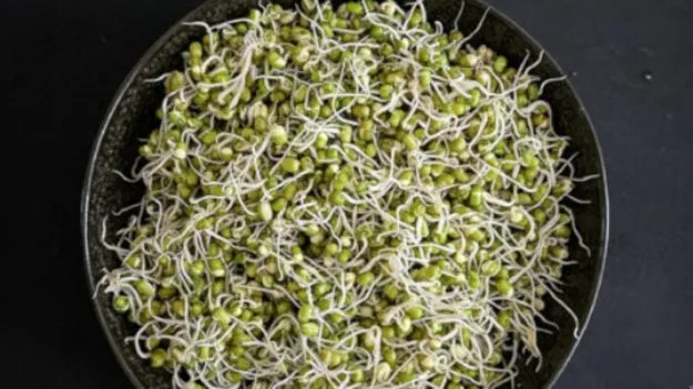 Sprouts Digestion Issue: మొలకలు తిన్న తర్వాత మీకు ఉబ్బరంగా అనిపిస్తుందా? ఇది తెలుసుకోండి.!