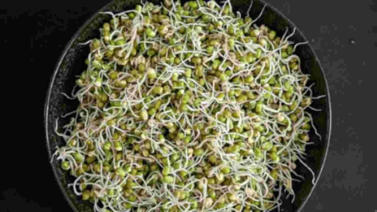 Sprouts Digestion Issue: మొలకలు తిన్న తర్వాత మీకు ఉబ్బరంగా అనిపిస్తుందా? ఇది తెలుసుకోండి.!