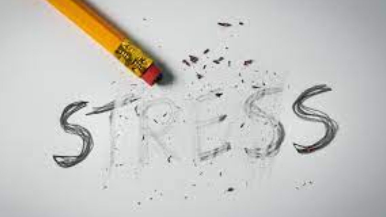 Stress Management: ఇలా చేస్తే ఒత్తిడిపై విజయం