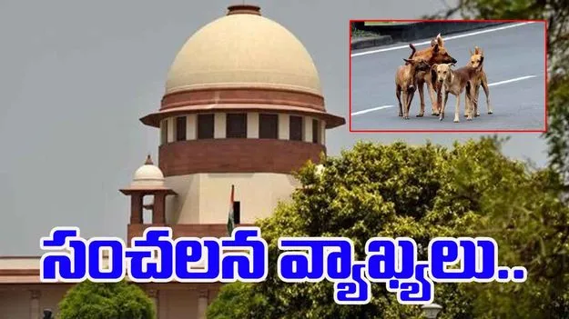 Supreme Court: వీధికుక్కల అంశంపై సుప్రీంకోర్టు సంచలన వ్యాఖ్యలు...