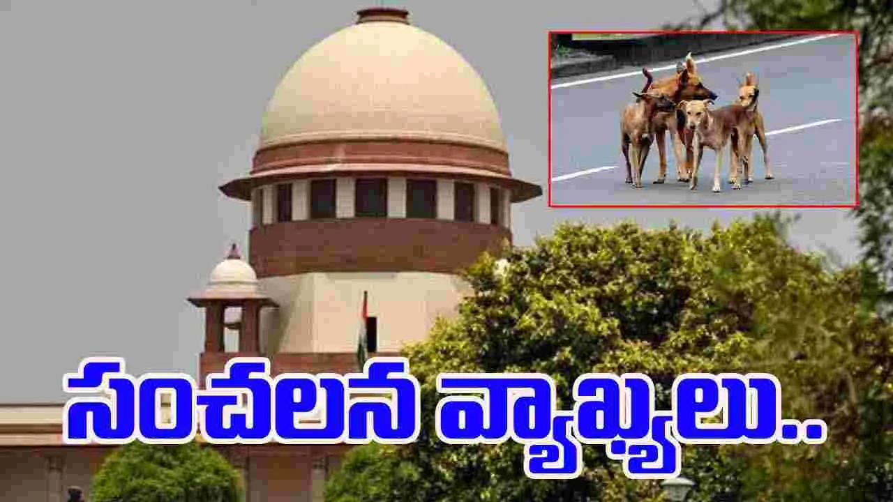 Supreme Court: వీధికుక్కల అంశంపై సుప్రీంకోర్టు సంచలన వ్యాఖ్యలు...