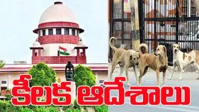Supreme Court: వీధి కుక్కల కేసులో సుప్రీంకోర్టు కీలక ఆదేశాలు...