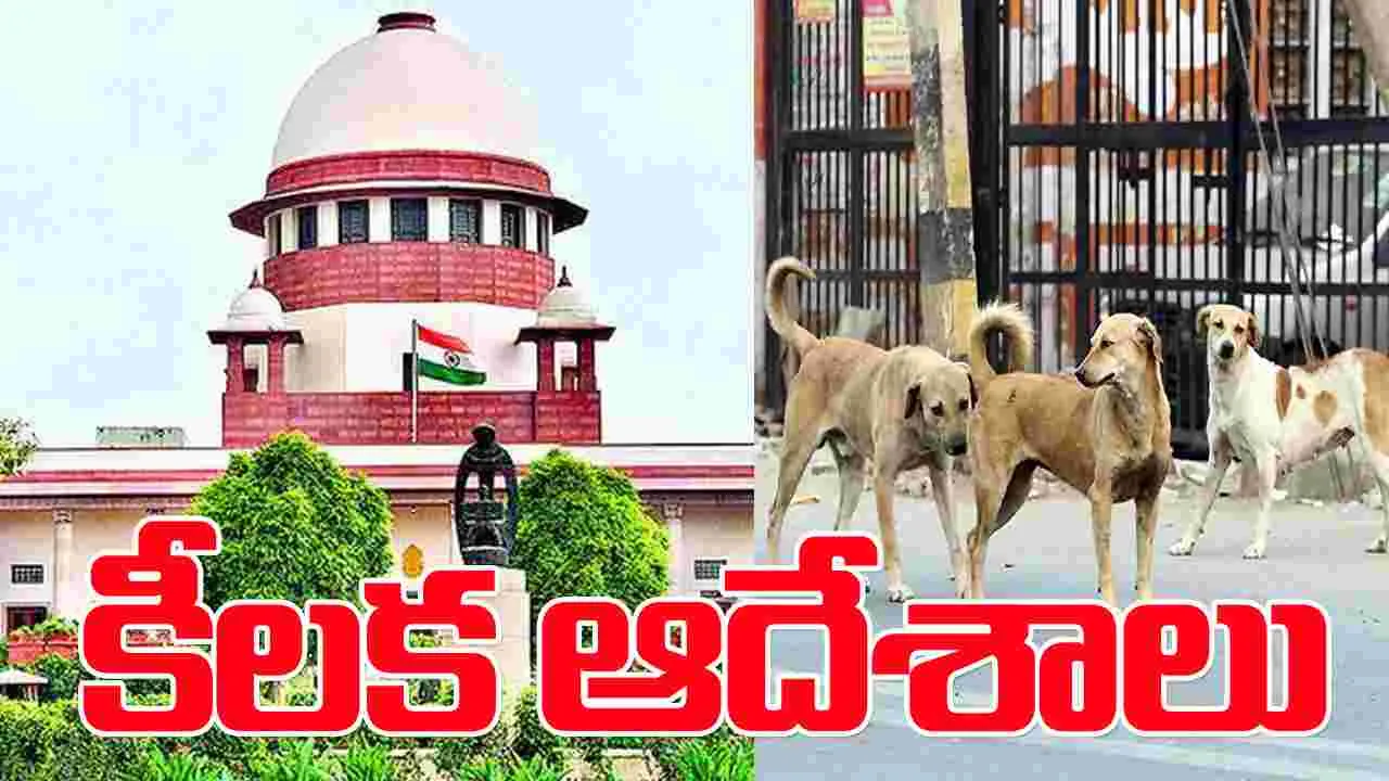 Supreme Court: వీధి కుక్కల కేసులో సుప్రీంకోర్టు కీలక ఆదేశాలు...