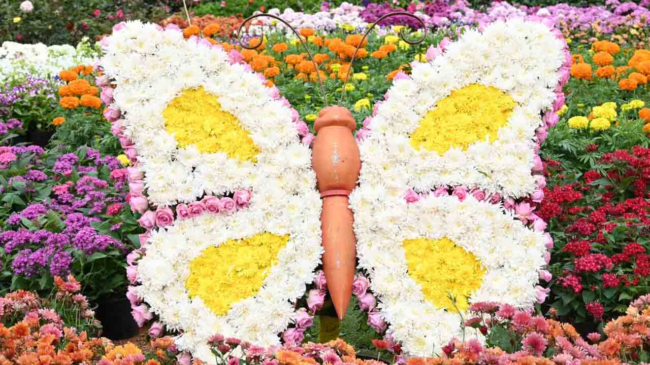 Tirumala Brahmotsavalu:తిరుమల శ్రీవారి బ్రహ్మోత్సవాలకు ఏర్పాట్లు పూర్తి