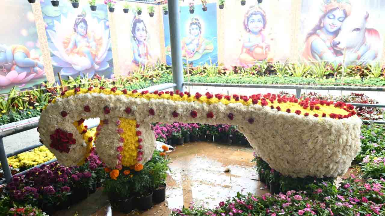 Tirumala Brahmotsavalu:తిరుమల శ్రీవారి బ్రహ్మోత్సవాలకు ఏర్పాట్లు పూర్తి