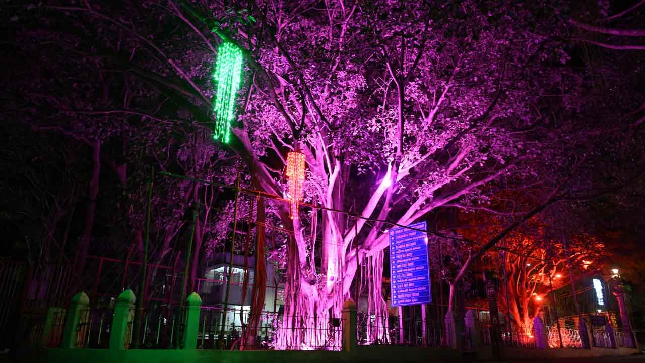 Tirumala Brahmotsavam 2025: బ్రహ్మోత్సవాలకు ముస్తాబవుతున్న తిరుమల..